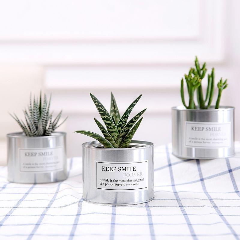Metal Cactus Pot Succulent Producer