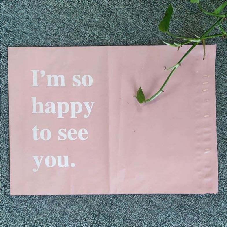 Custom Print Logo MOQ 100Pcs 6x9 Self Sealing Plastic Pink Poly Mailers Mailing Bags Courier Shipping Bag For Clothing - Image 5