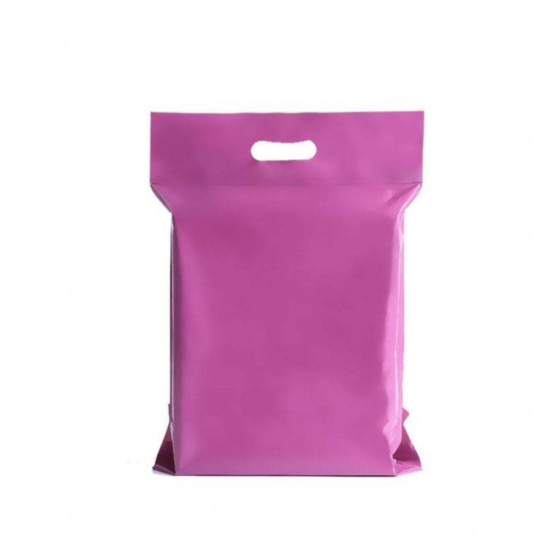 Custom Size packaging 10x13 12 x17 polymailer Courier Bag with Handle Express Bags Easy to Carry Poly Mailers - Image 2