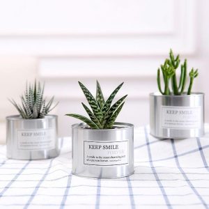 Wholesale decorative empty small plant nursery custom metal mini cactus pot succulent