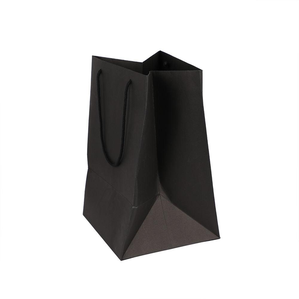 Wholesale Custom black Logo Printed shopping bag Luxury Shopping Gift Underwear Paper Bag for underwear - 图片 3